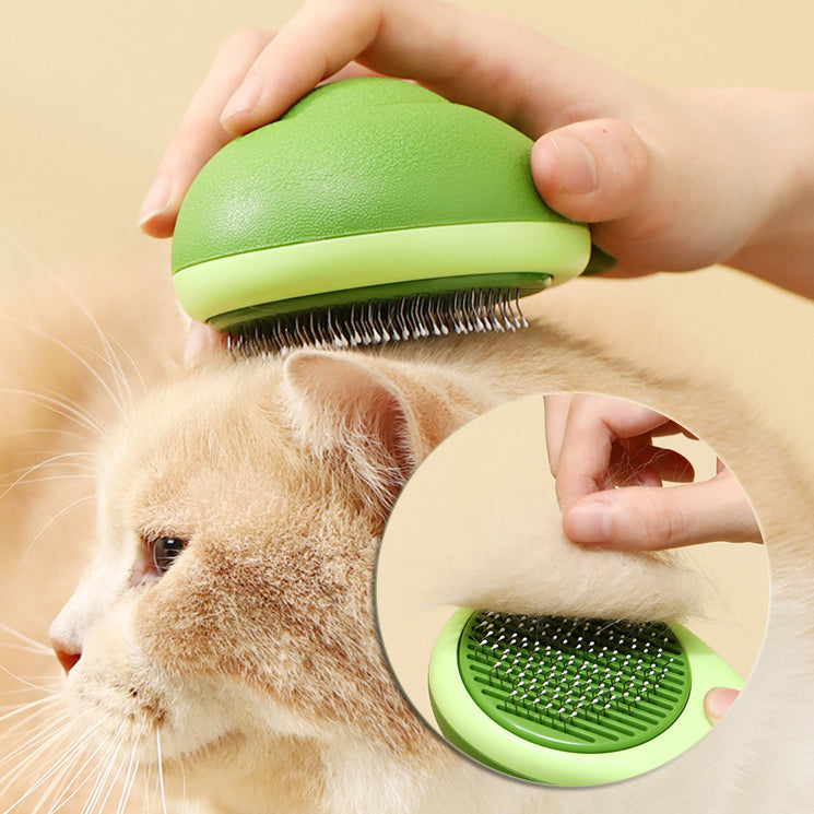 2-in-1 design Massage Cat Brush Hair Remover