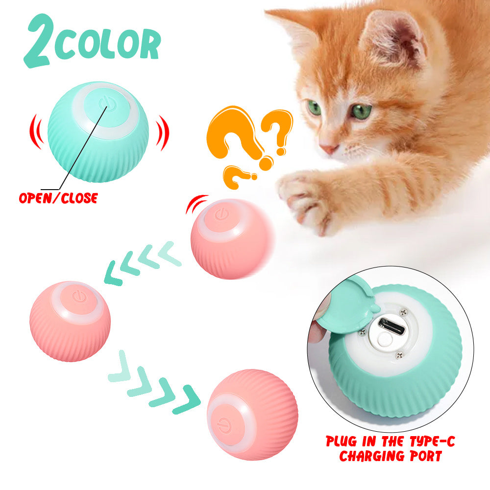 Cat Claw Control Rolling Ball