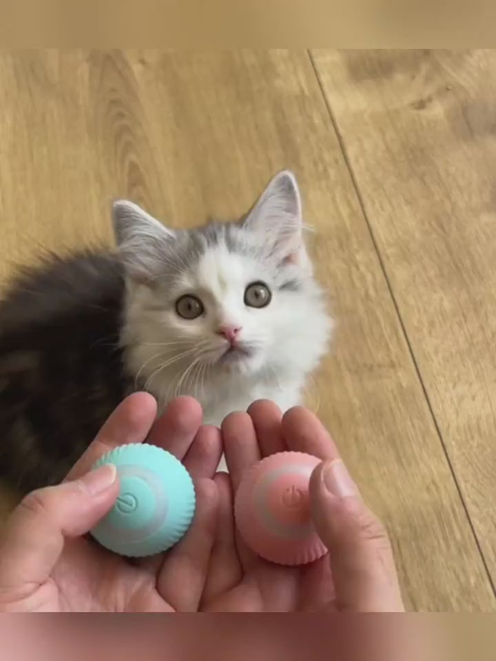 Cat Claw Control Rolling Ball